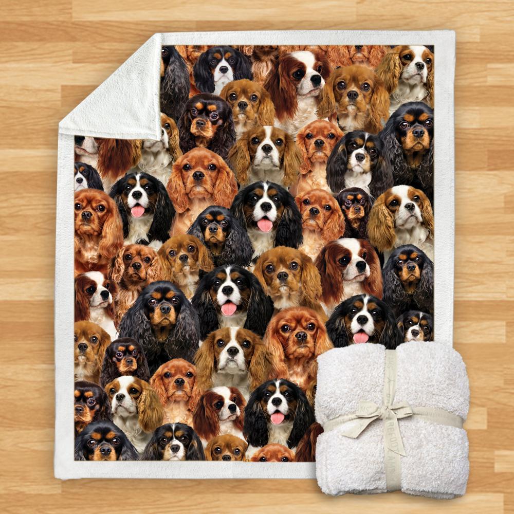You Will Have A Bunch Of Cavalier King Charles Spaniels - Blanket V1