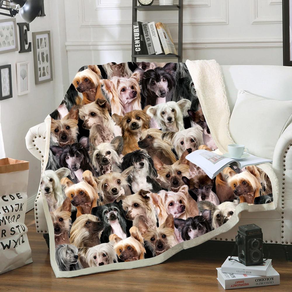 You Will Have A Bunch Of Chinese Cresteds - Blanket V1