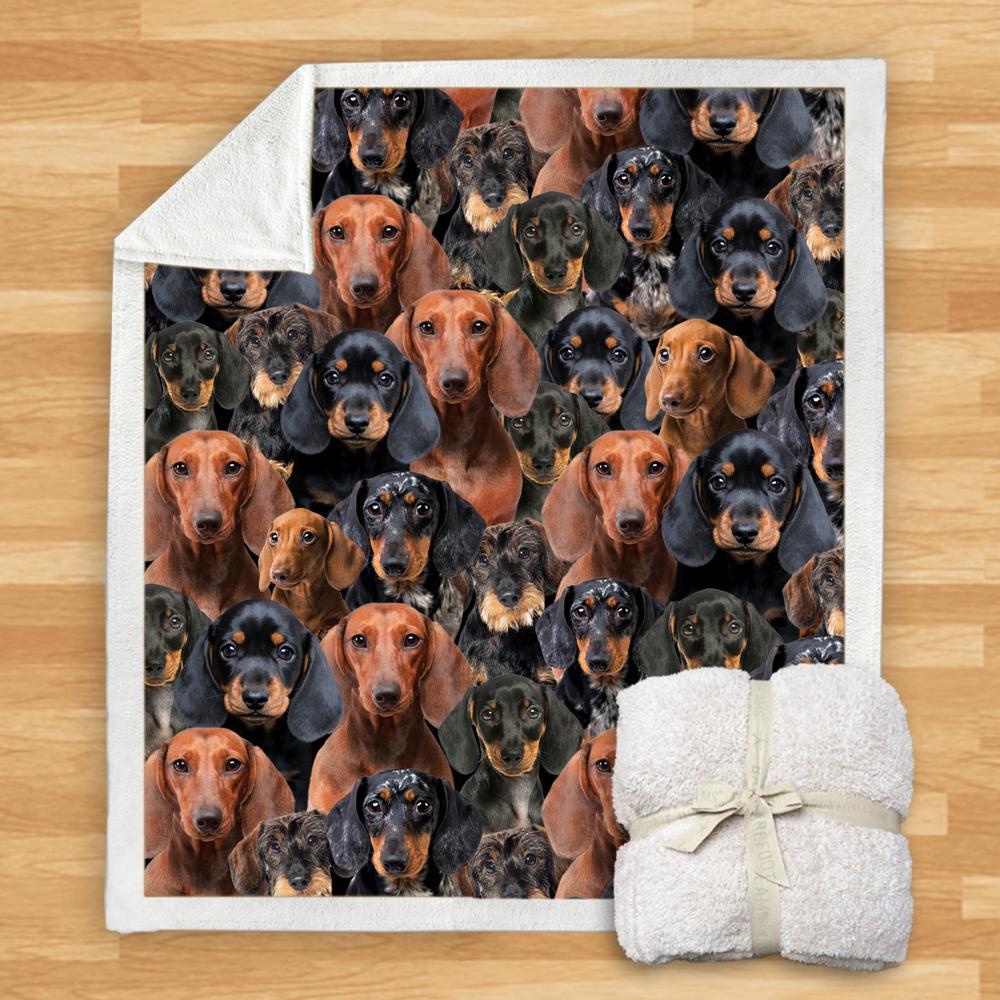 You Will Have A Bunch Of Dachshunds - Blanket V1