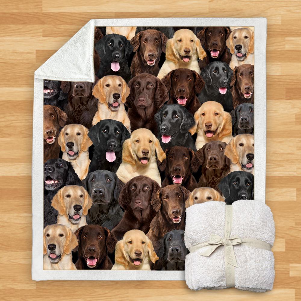 You Will Have A Bunch Of Flat Coated Retrievers - Blanket V1