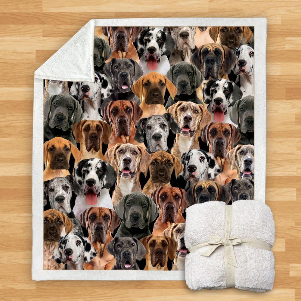 You Will Have A Bunch Of Great Danes - Blanket V1