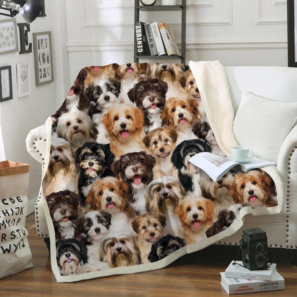 You Will Have A Bunch Of Havaneses - Blanket V1