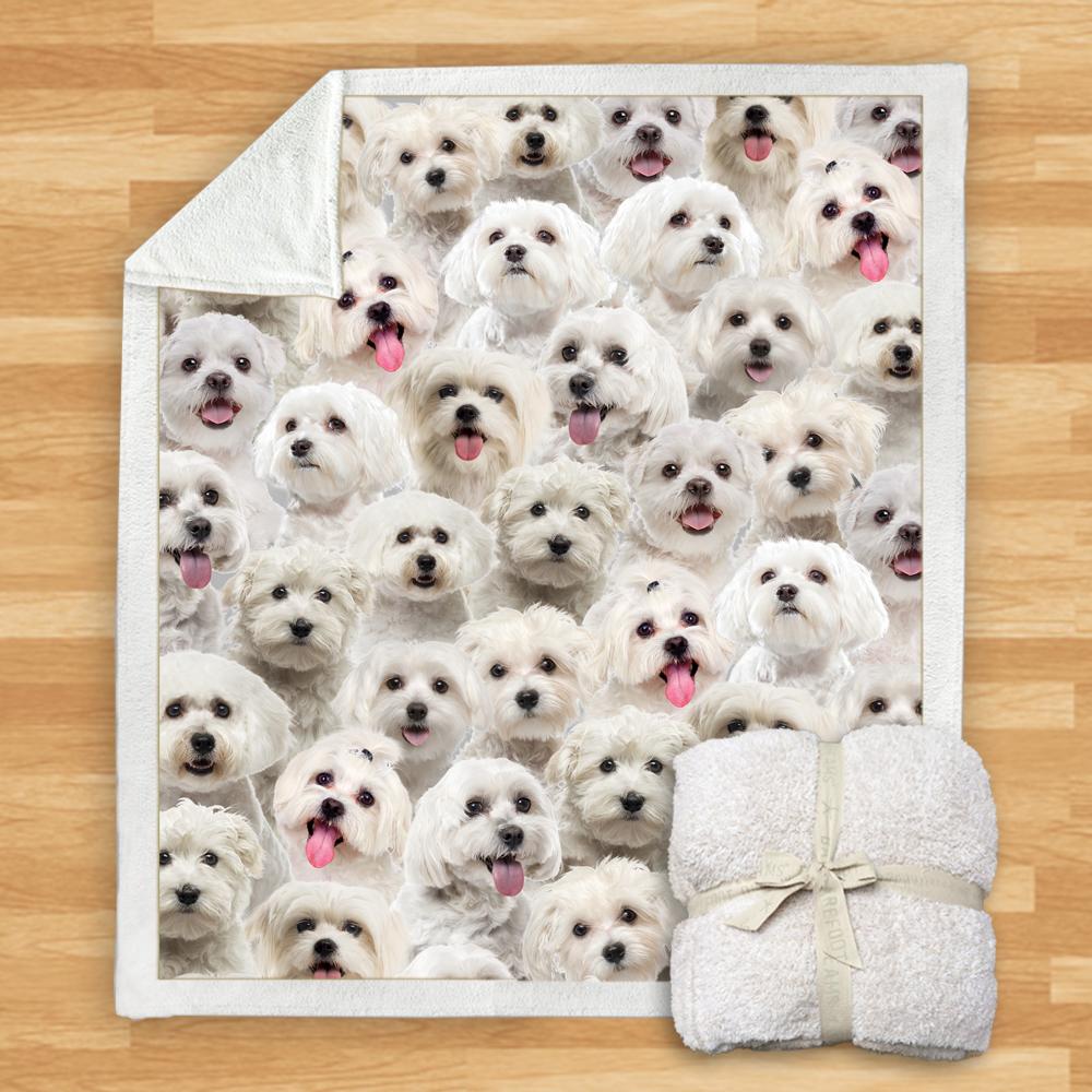 You Will Have A Bunch Of Malteses - Blanket V1