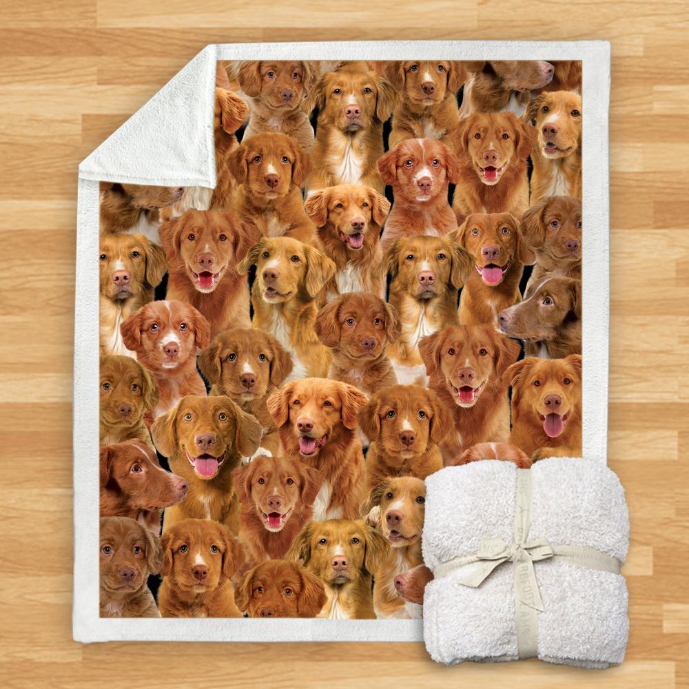 You Will Have A Bunch Of Nova Scotia Duck Tolling Retrievers - Blanket V1