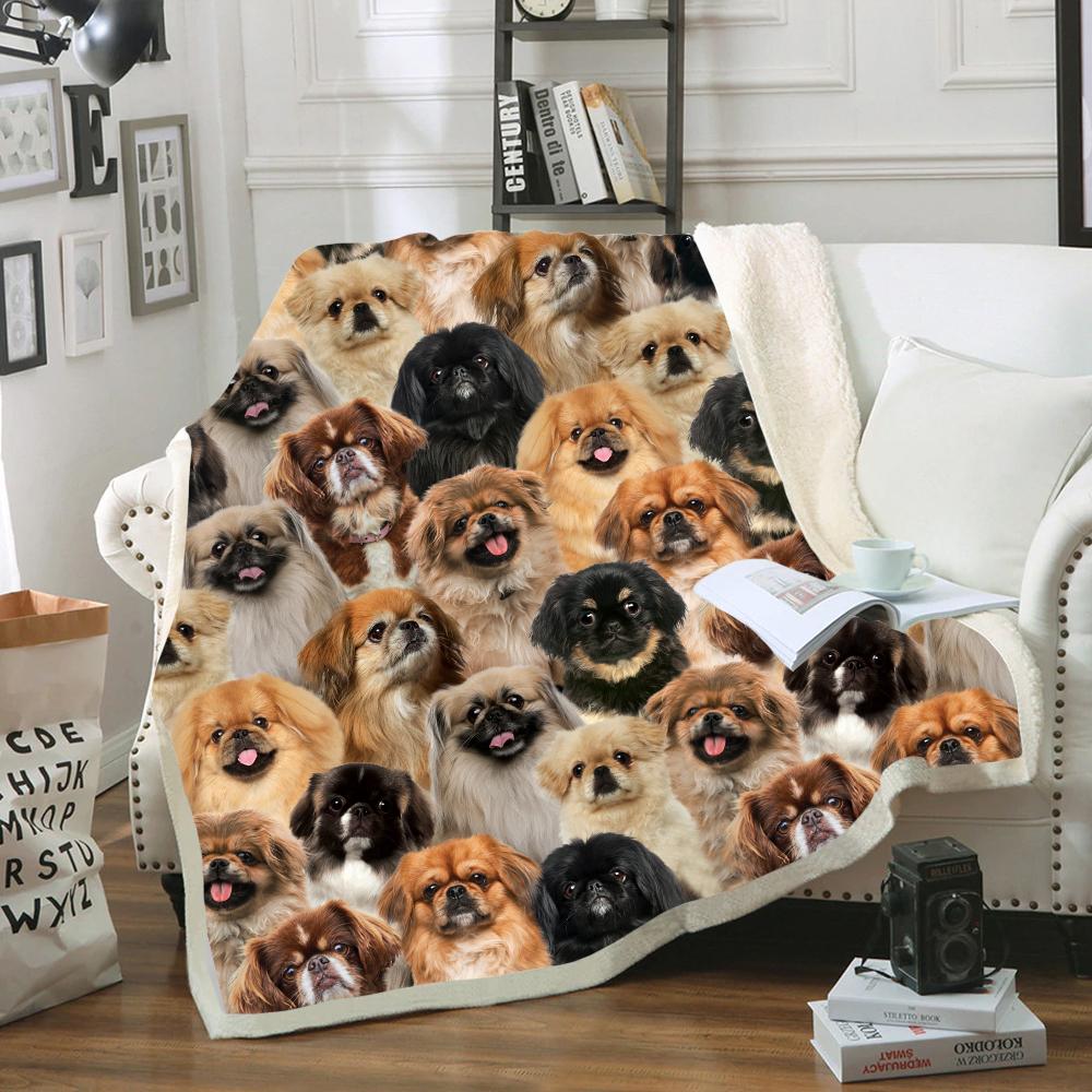 You Will Have A Bunch Of Pekingeses - Blanket V1