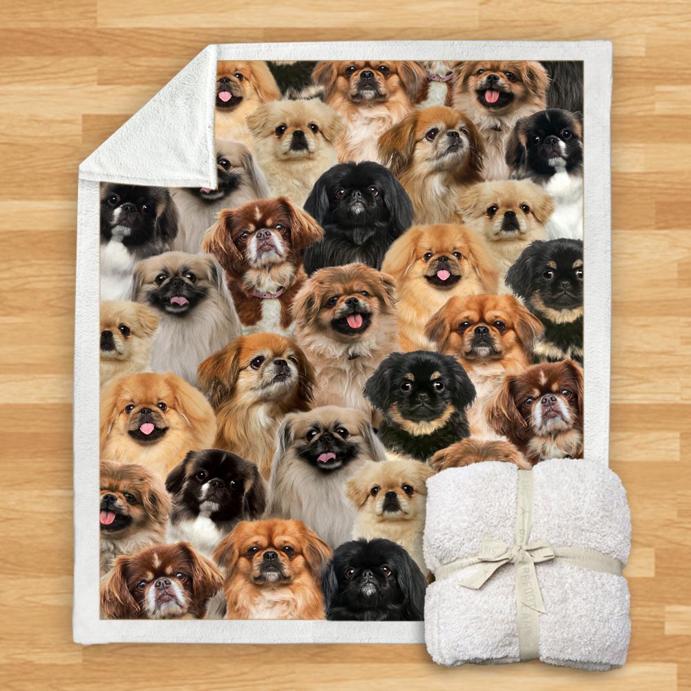 You Will Have A Bunch Of Pekingeses - Blanket V1