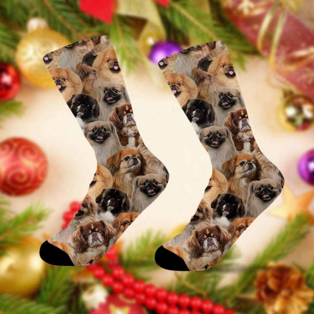 A Bunch Of Pekingeses Socks