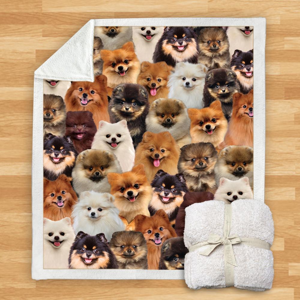 You Will Have A Bunch Of Pomeranians - Blanket V1