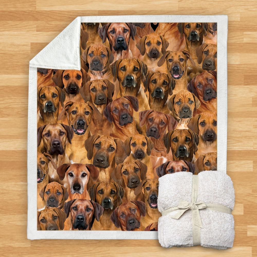 You Will Have A Bunch Of Rhodesian Ridgebacks - Blanket V1