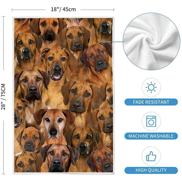 A Bunch Of Rhodesian Ridgebacks Kitchen Towel - OKBANDS