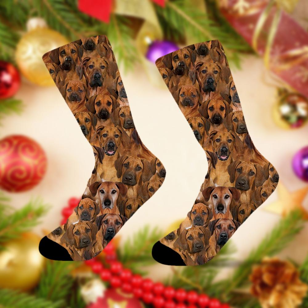 A Bunch Of Rhodesian Ridgebacks Socks