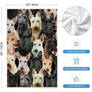 A Bunch Of Scottish Terriers Kitchen Towel