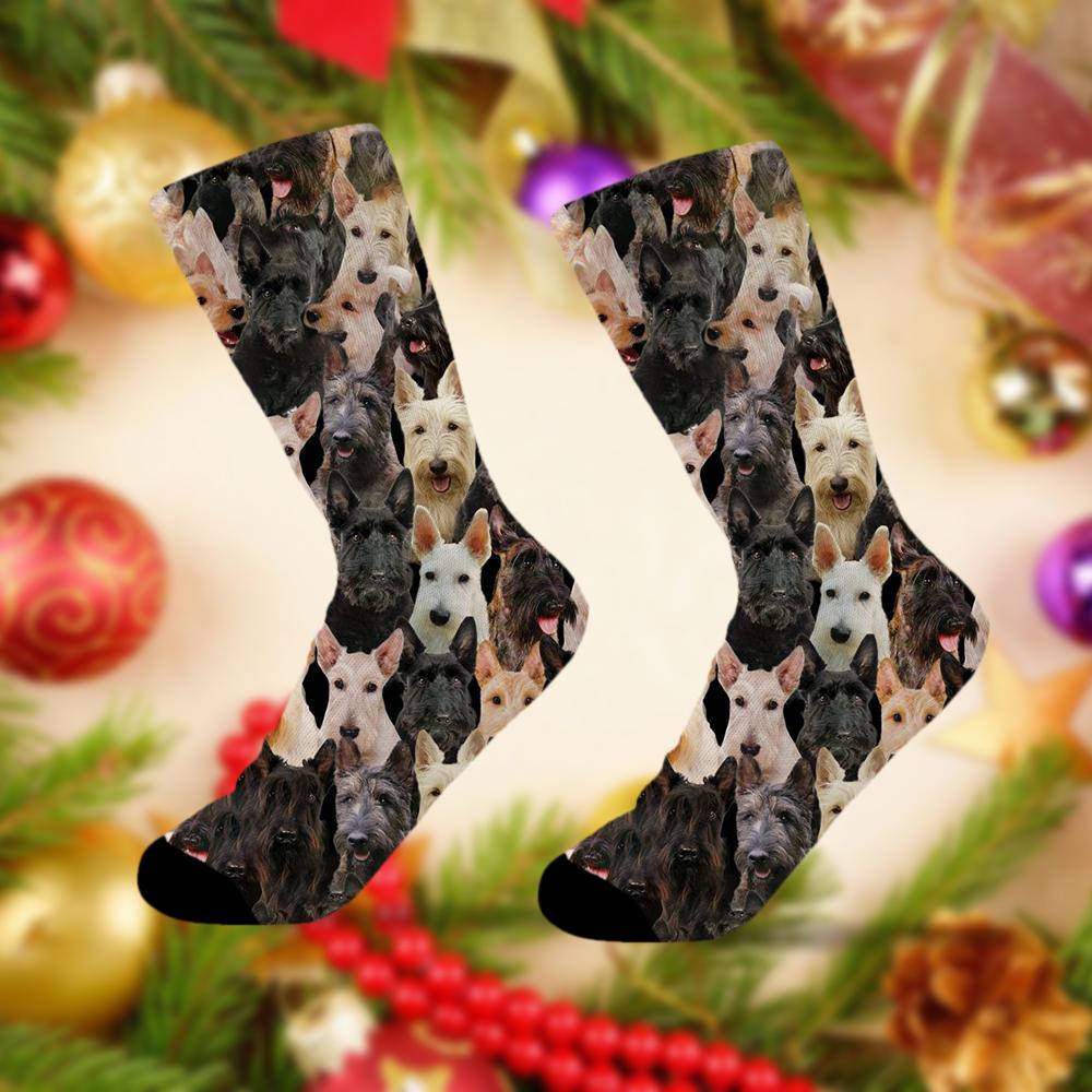 A Bunch Of Scottish Terriers Socks