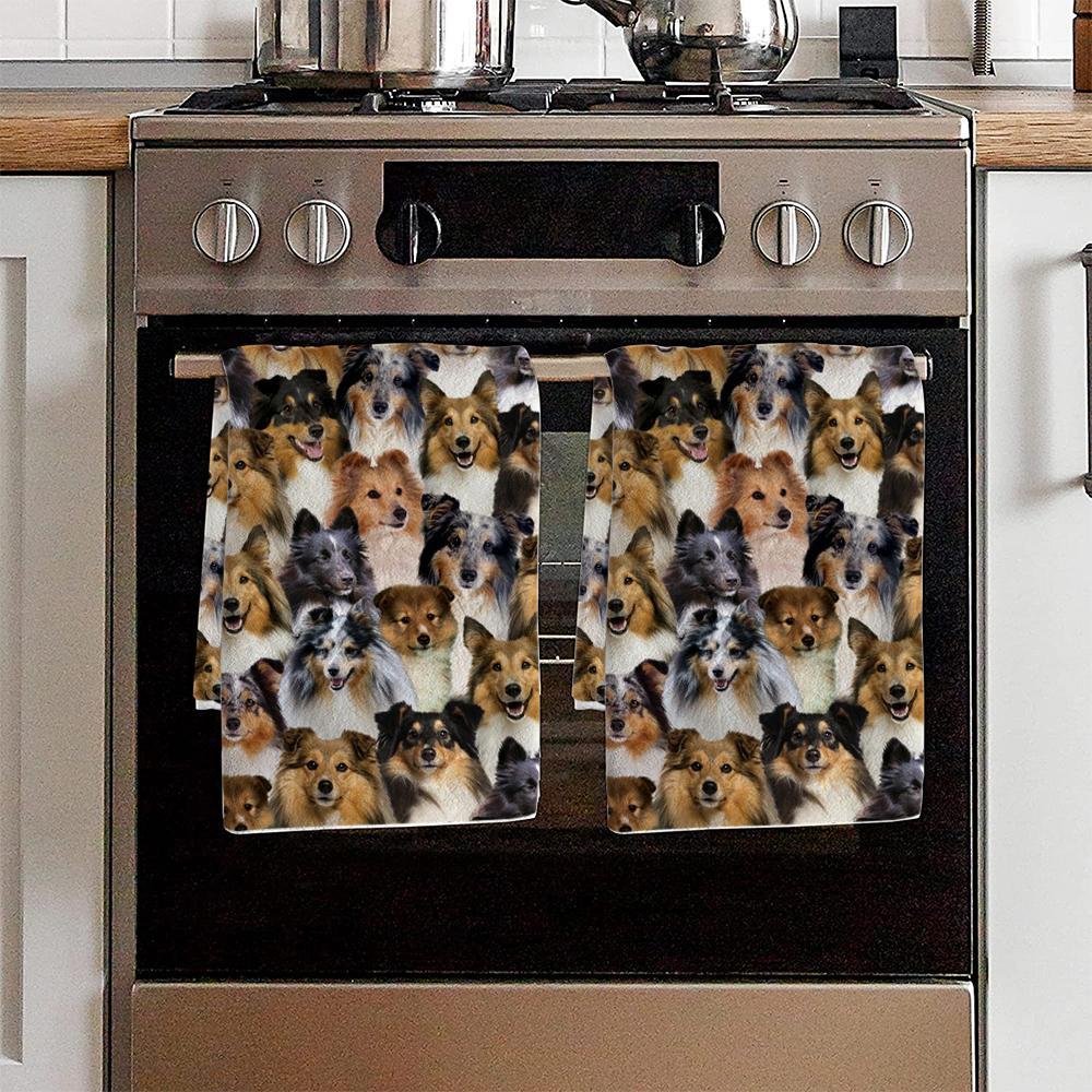 A Bunch Of Shetland Sheepdogs Kitchen Towel