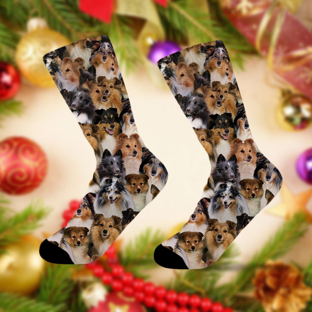 A Bunch Of Shetland Sheepdogs Socks