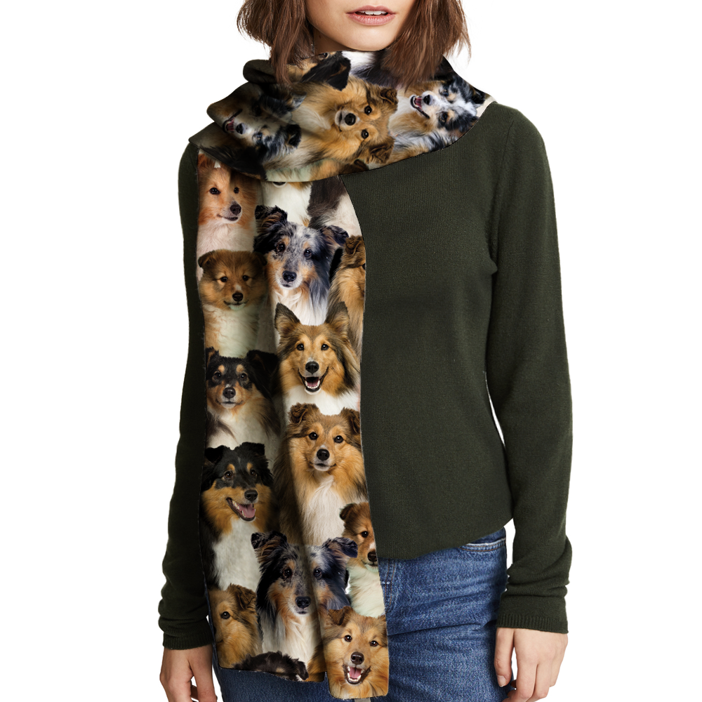 You Will Have A Bunch Of Shetland Sheepdogs - Scarf V1