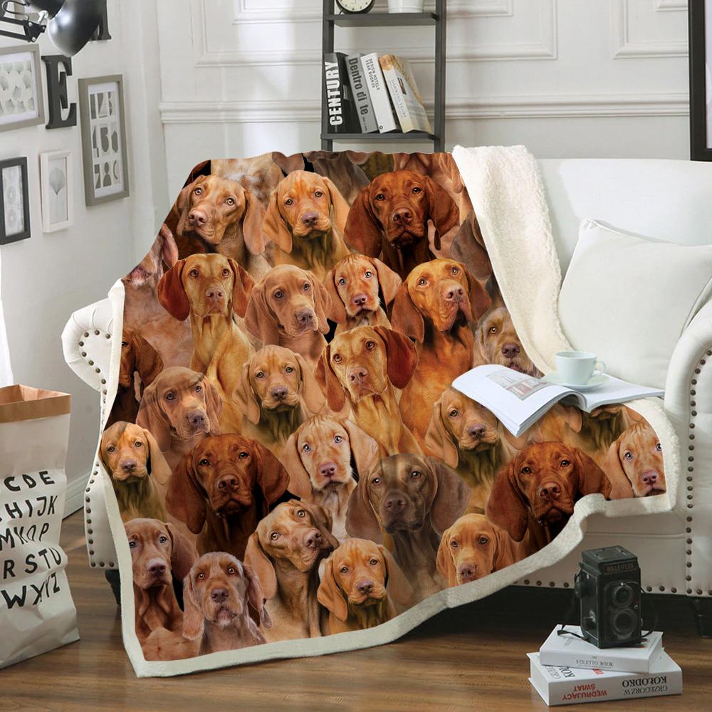 You Will Have A Bunch Of Vizslas - Blanket V1