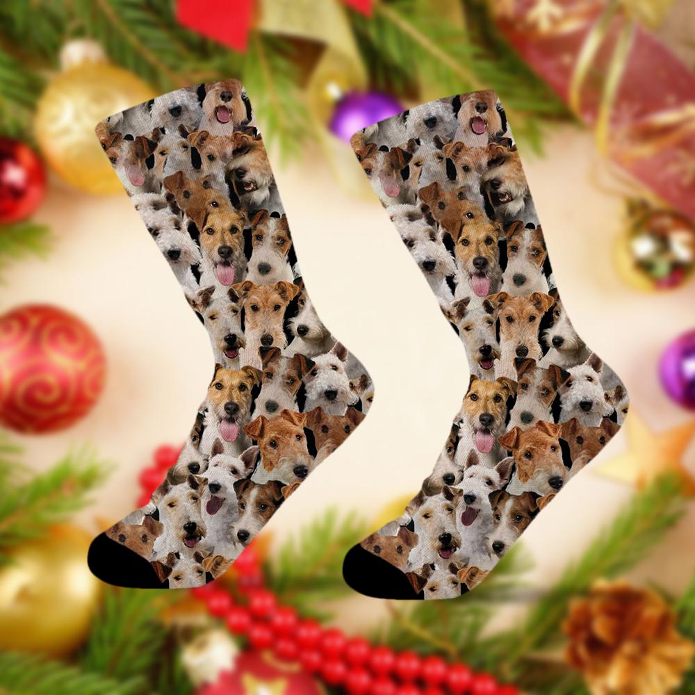 A Bunch Of Wire Fox Terriers Socks