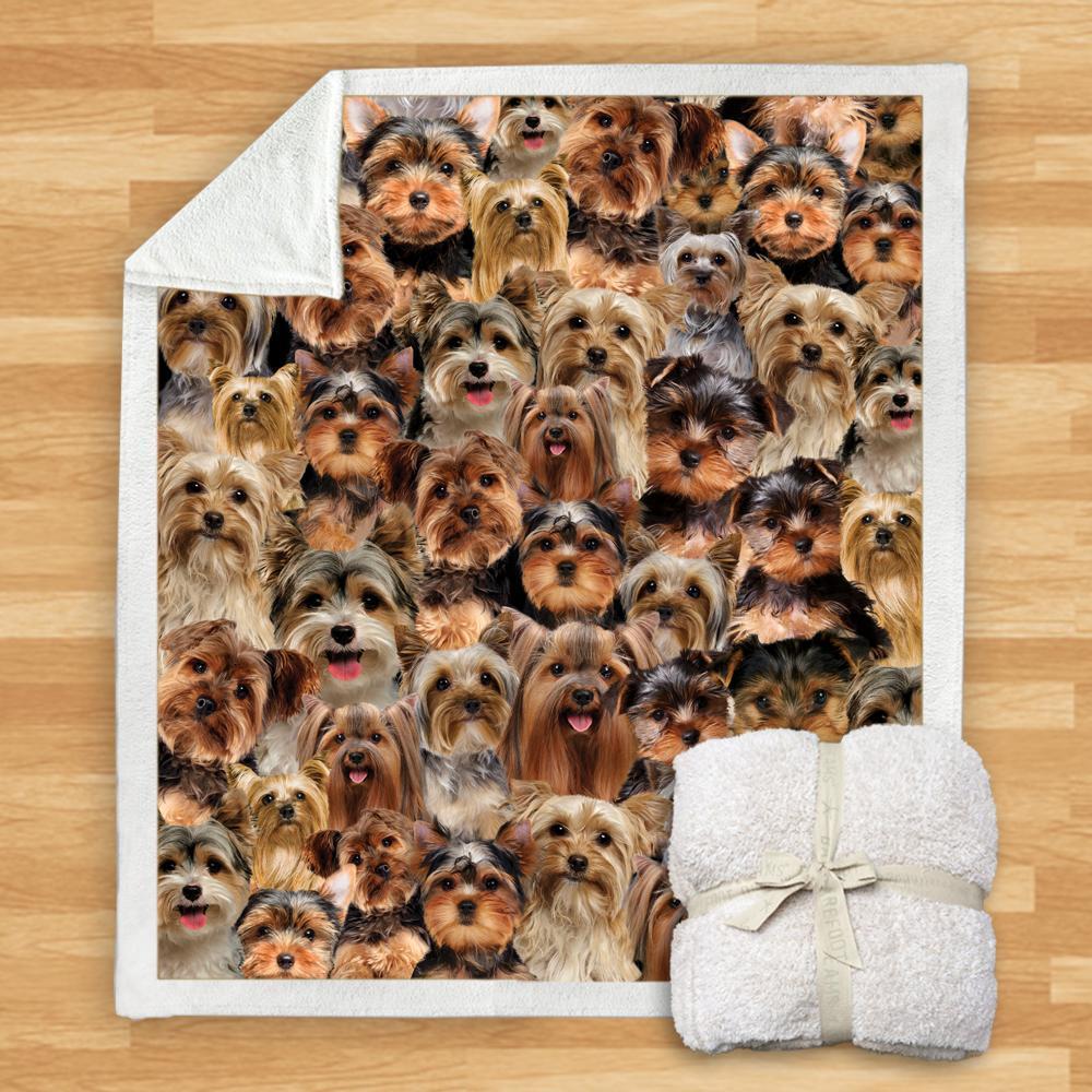 You Will Have A Bunch Of Yorkshire Terriers - Blanket V1