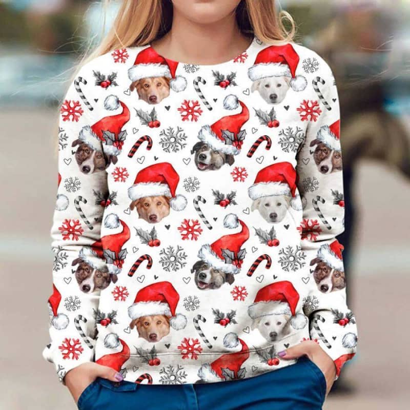 Aidi - Xmas Decor - Premium Sweatshirt