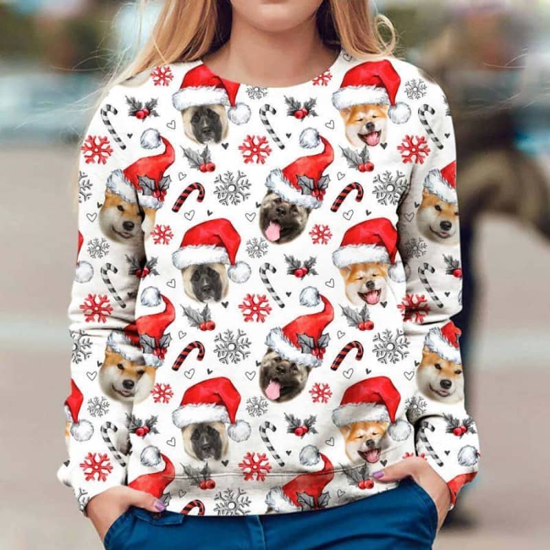 Akita - Xmas Decor - Premium Sweatshirt