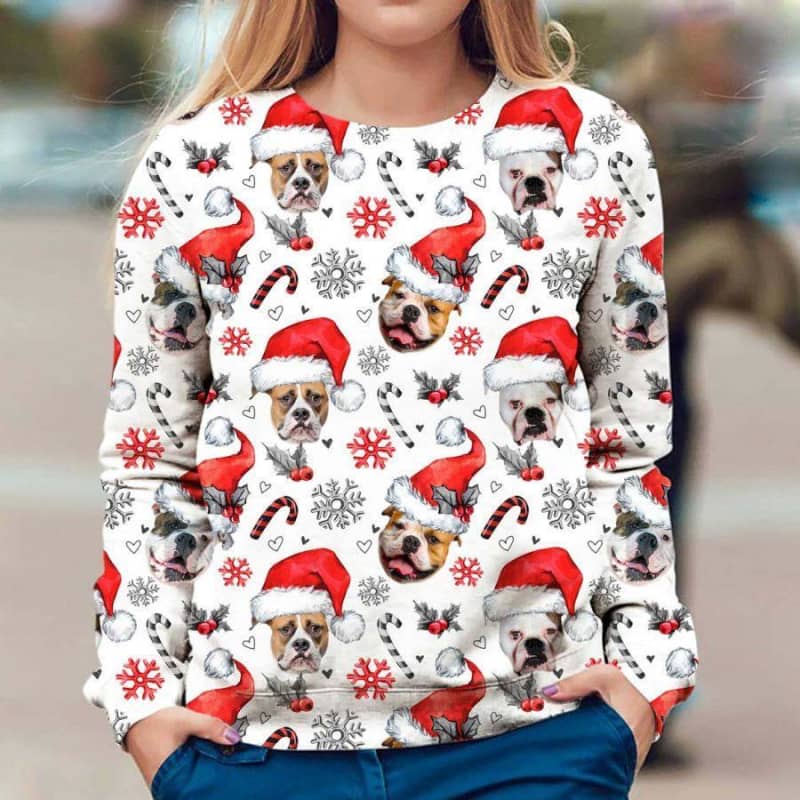 American Bulldog - Xmas Decor - Premium Sweatshirt