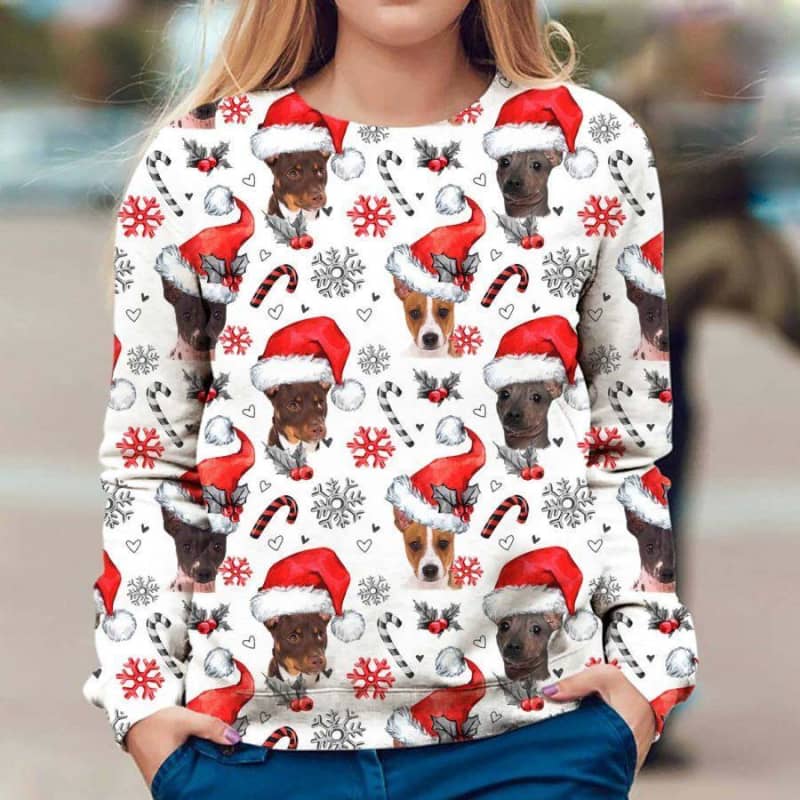 American Hairless Terrier - Xmas Decor - Premium Sweatshirt