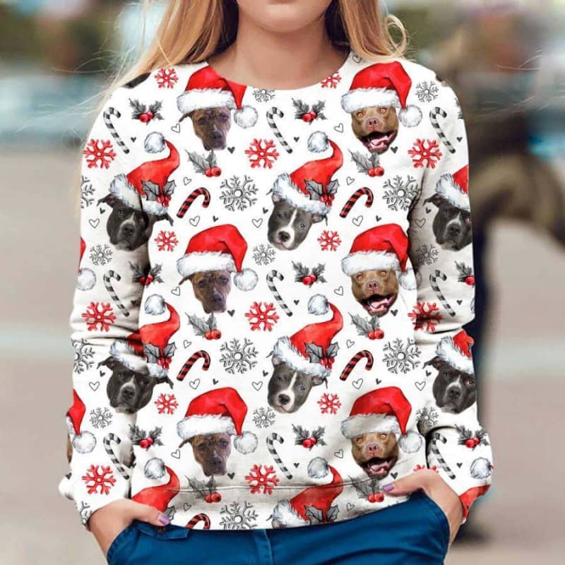American Pit Bull Terrier - Xmas Decor - Premium Sweatshirt