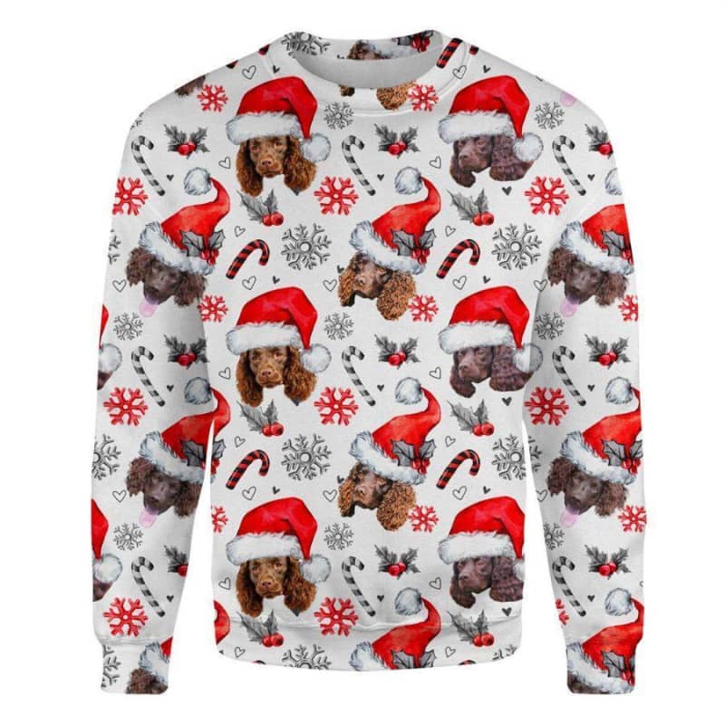 American Water Spaniel - Xmas Decor - Premium Sweatshirt