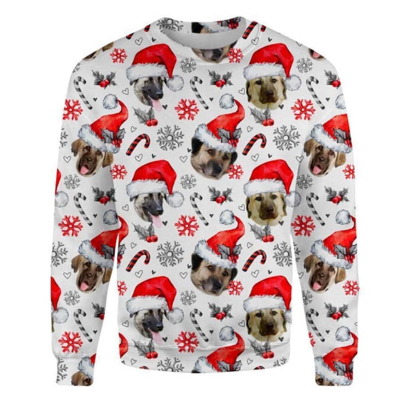 Anatolian Shepherd - Xmas Decor - Premium Sweatshirt