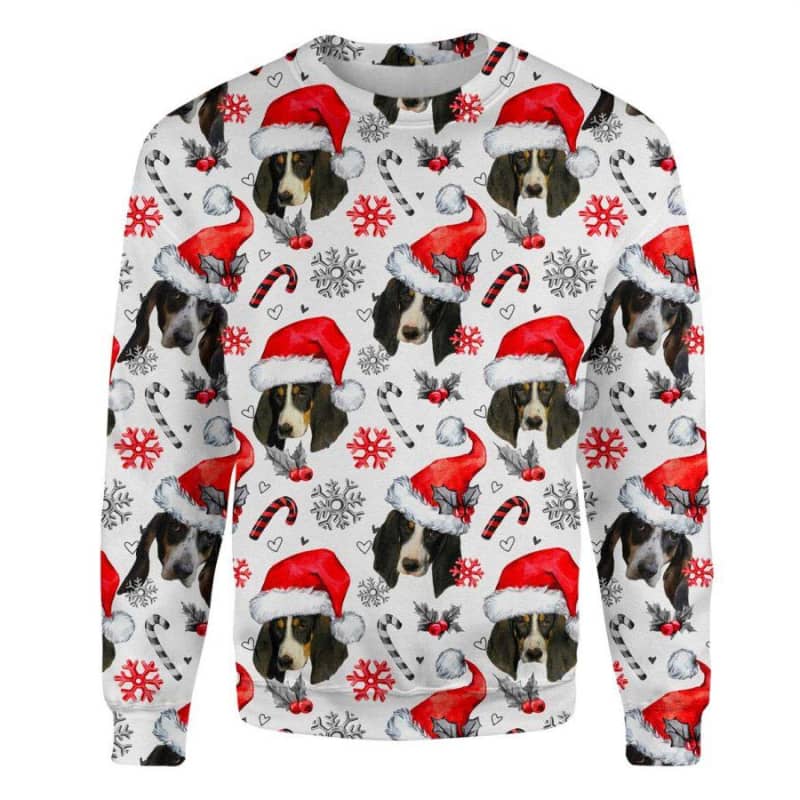 Ariegeois - Xmas Decor - Premium Sweatshirt