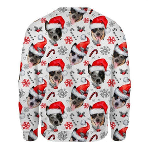 Australian Cattle Dog - Xmas Decor - Premium Sweatshirt