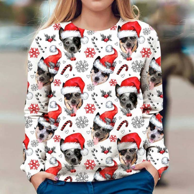 Australian Cattle Dog - Xmas Decor - Premium Sweatshirt