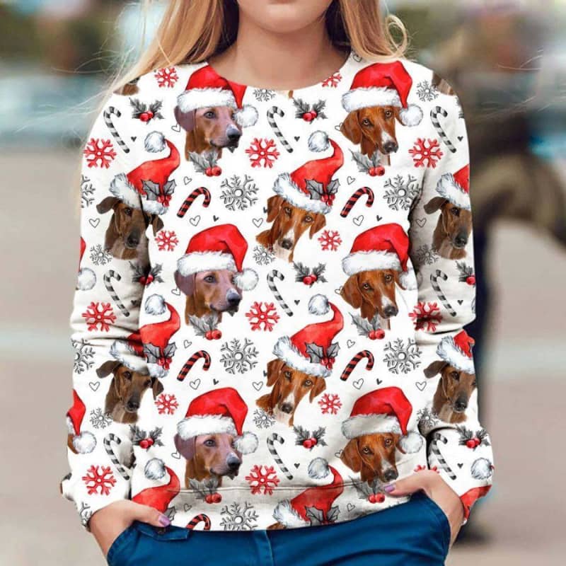 Azawakh - Xmas Decor - Premium Sweatshirt