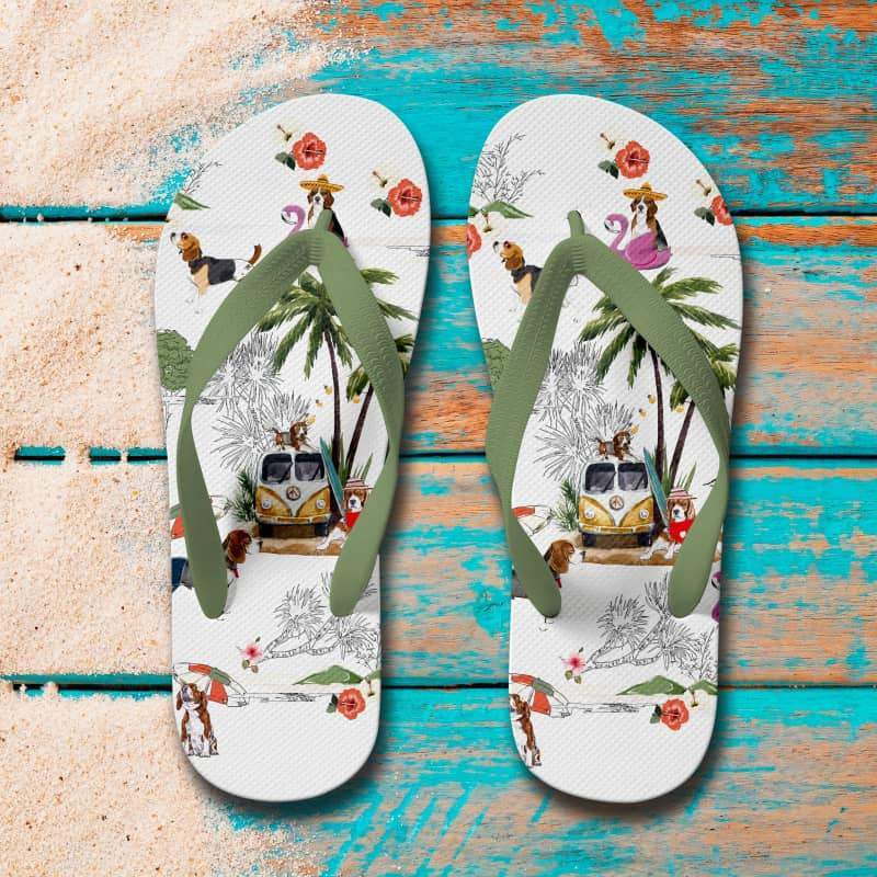 BEAGLE Flip Flops
