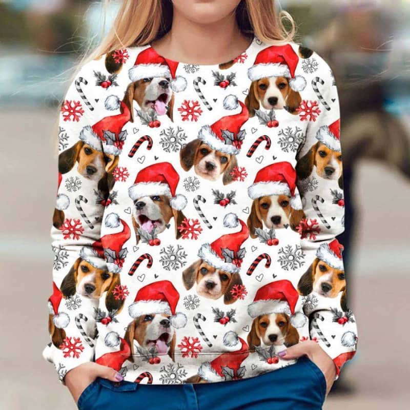 Beagle - Xmas Decor - Premium Sweatshirt