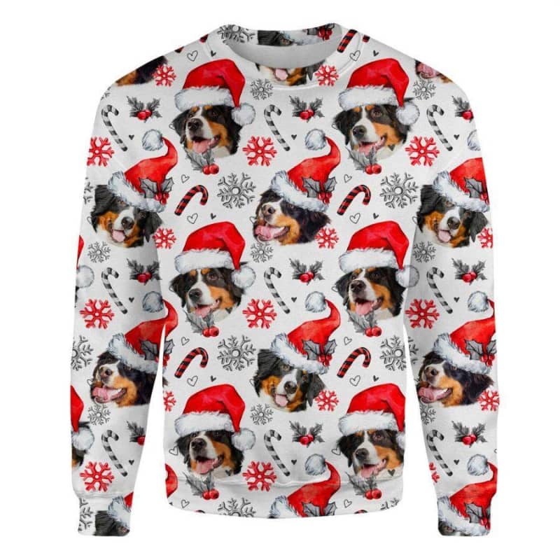 Bernese Mountain Dog - Xmas Decor - Premium Sweatshirt