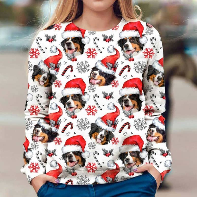Bernese Mountain Dog - Xmas Decor - Premium Sweatshirt