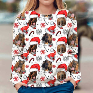 Bloodhound - Xmas Decor - Premium Sweatshirt