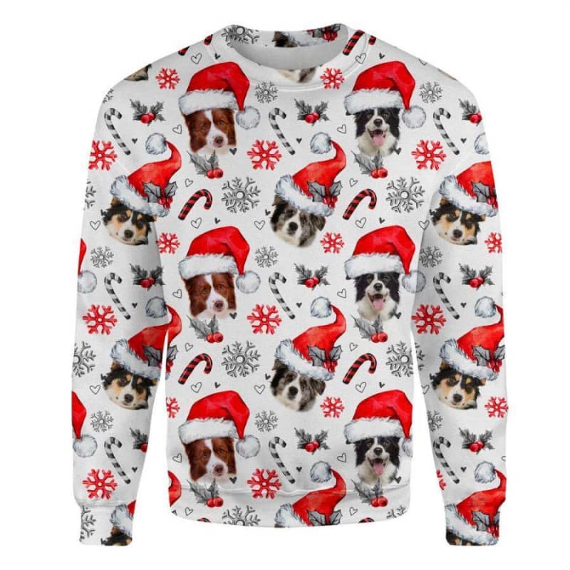 Border Collie - Xmas Decor - Premium Sweatshirt