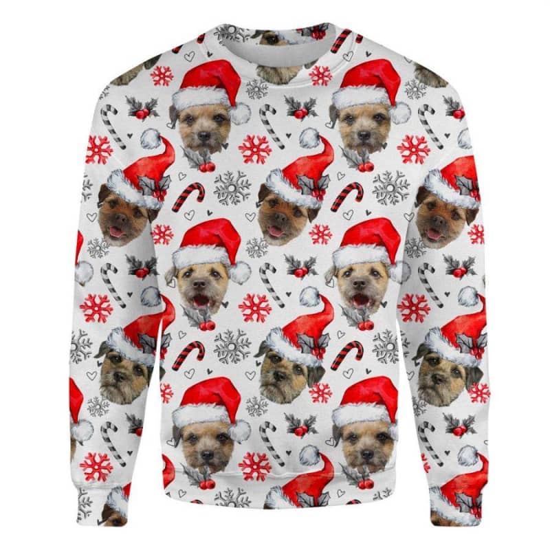 Border Terrier - Xmas Decor - Premium Sweatshirt