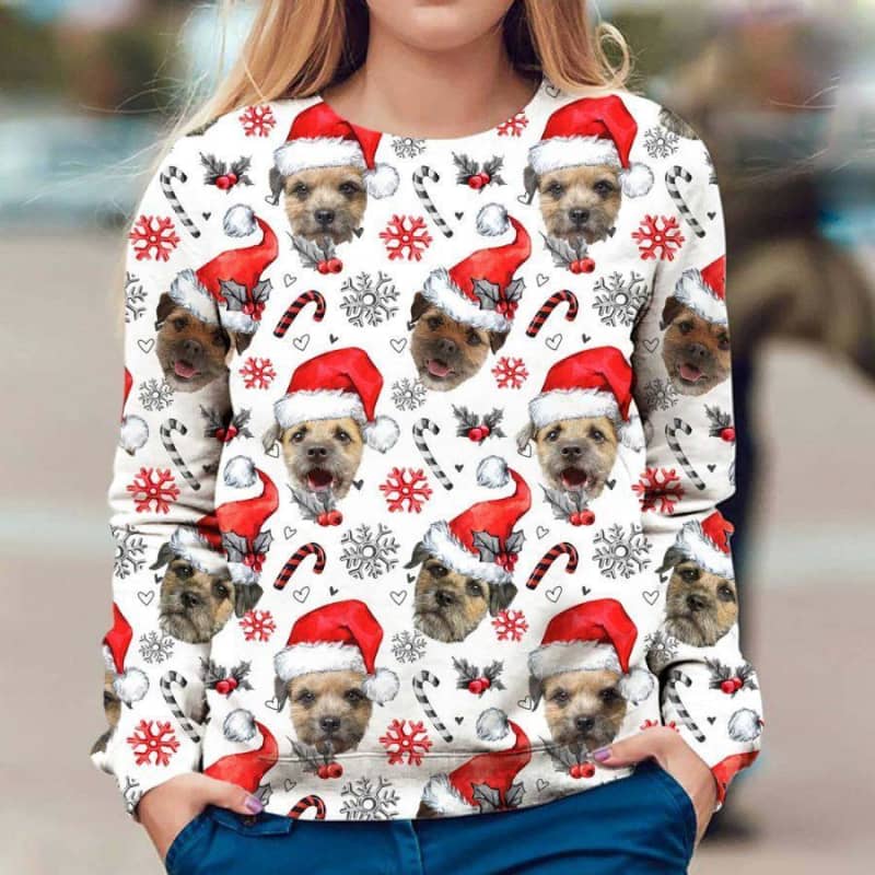 Border Terrier - Xmas Decor - Premium Sweatshirt