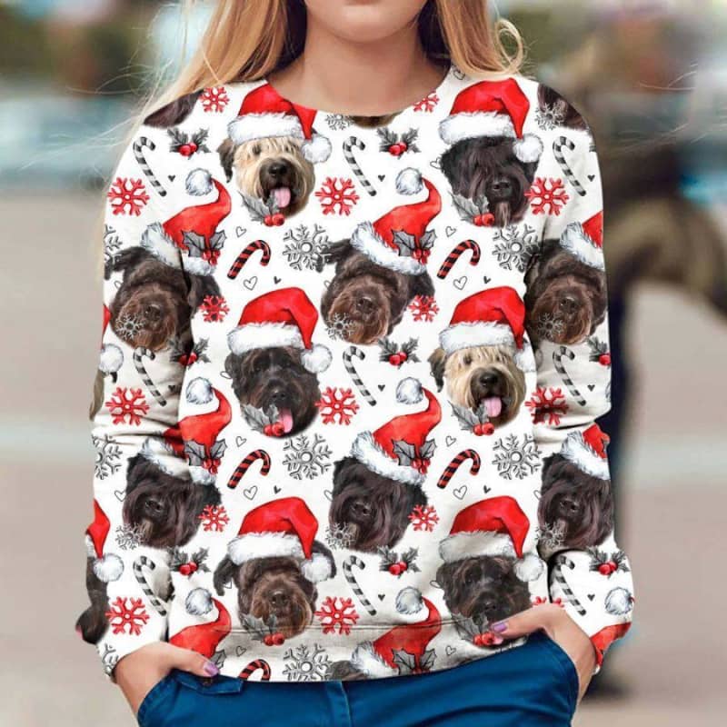 Bouvier des Flandres - Xmas Decor - Premium Sweatshirt