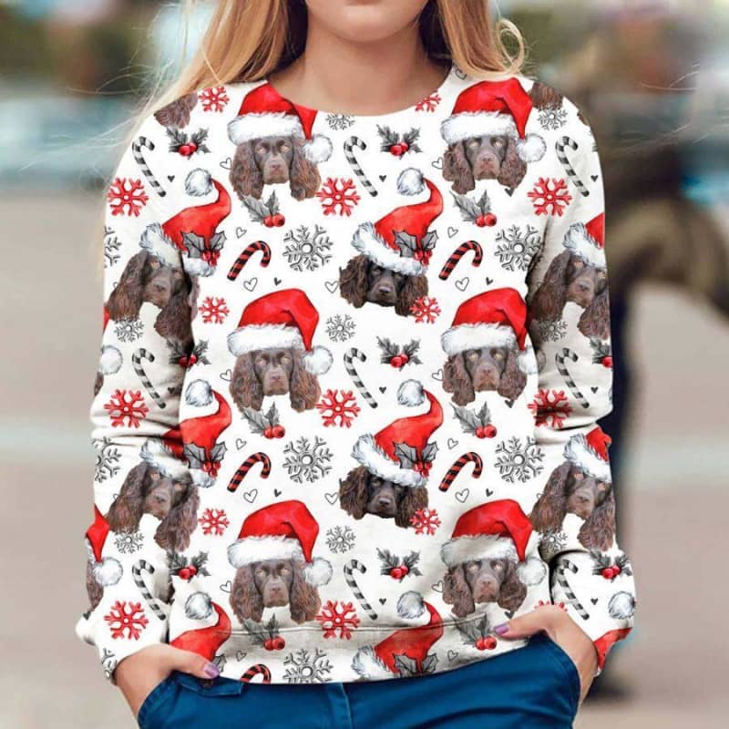 Boykin Spaniel - Xmas Decor - Premium Sweatshirt