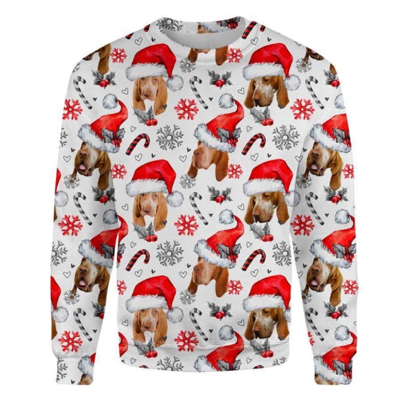 Bracco Italiano - Xmas Decor - Premium Sweatshirt