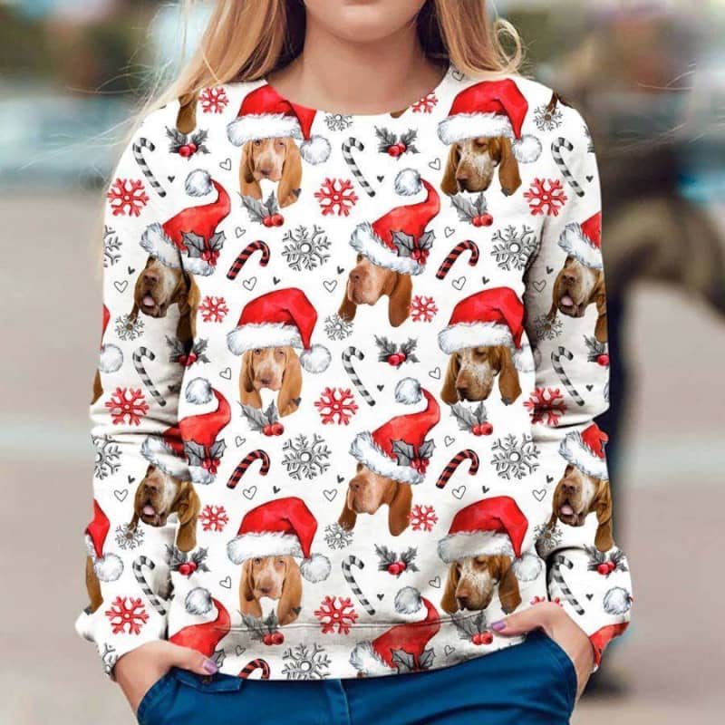 Bracco Italiano - Xmas Decor - Premium Sweatshirt