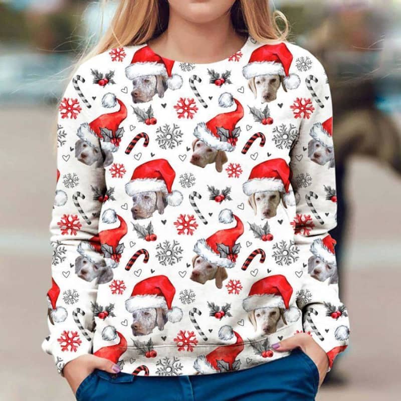Braque du Bourbonnais - Xmas Decor - Premium Sweatshirt