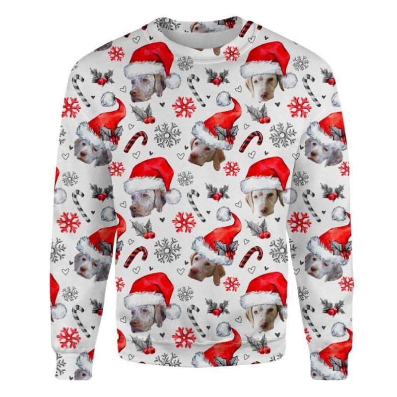 Braque du Bourbonnais - Xmas Decor - Premium Sweatshirt