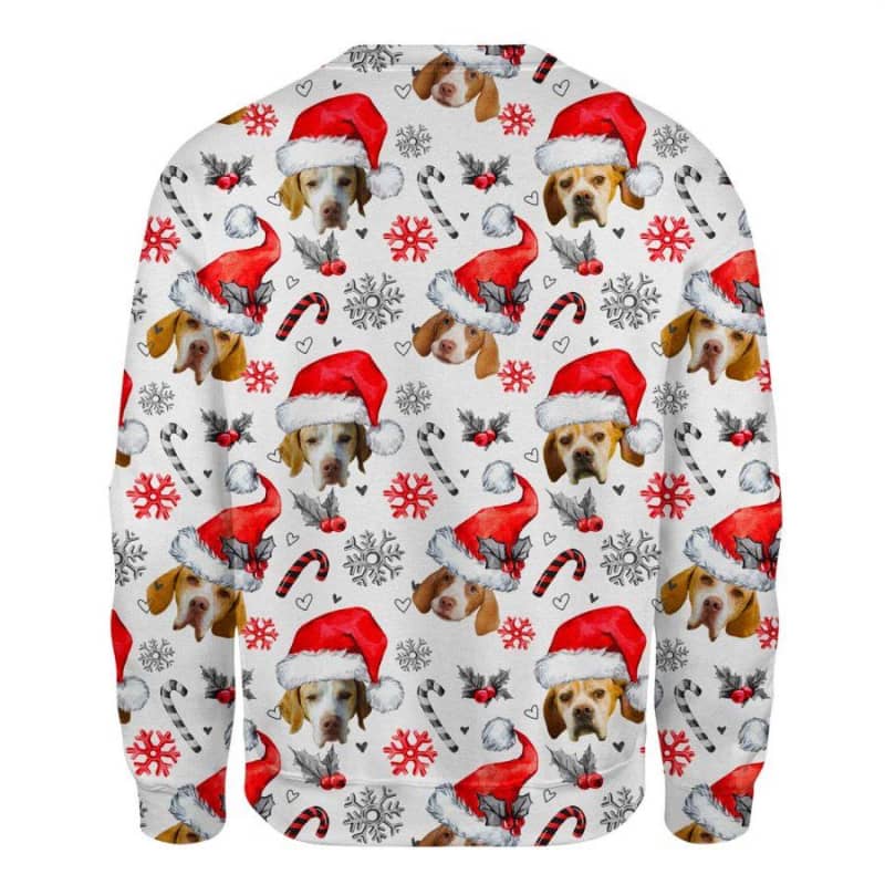 Braque Saint Germain - Xmas Decor - Premium Sweatshirt