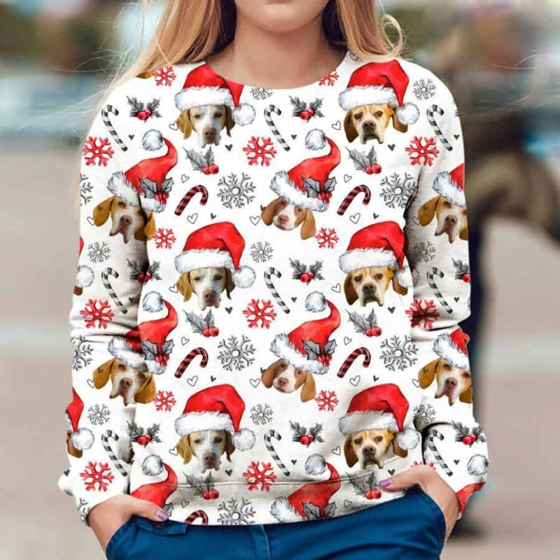 Braque Saint Germain - Xmas Decor - Premium Sweatshirt